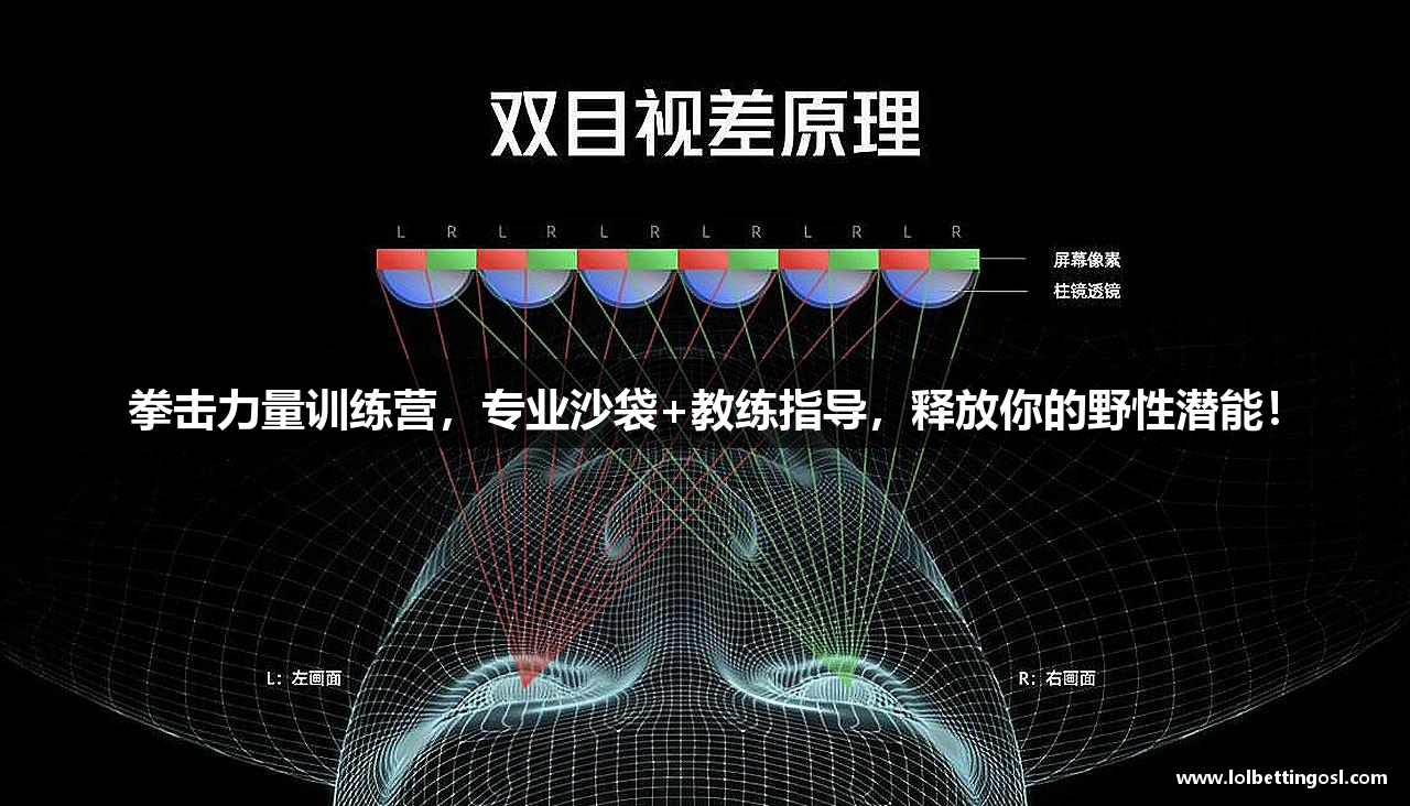 拳击力量训练营，专业沙袋+教练指导，释放你的野性潜能！